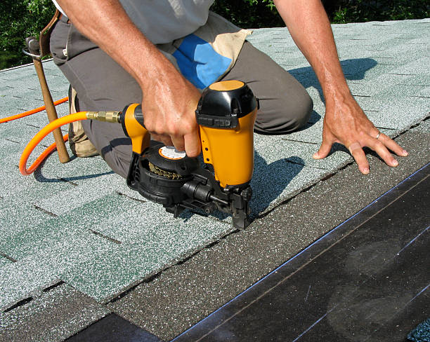Best Roof Gutter Cleaning  in Tsaile, AZ