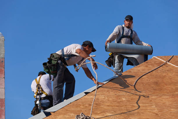 Roof Gutter Cleaning in Tsaile, AZ