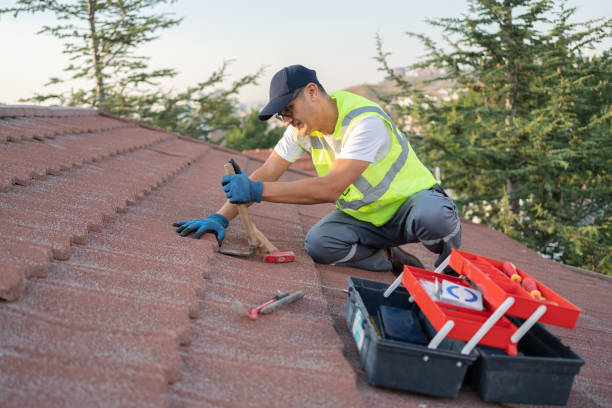 Best Residential Roofing Contractor  in Tsaile, AZ