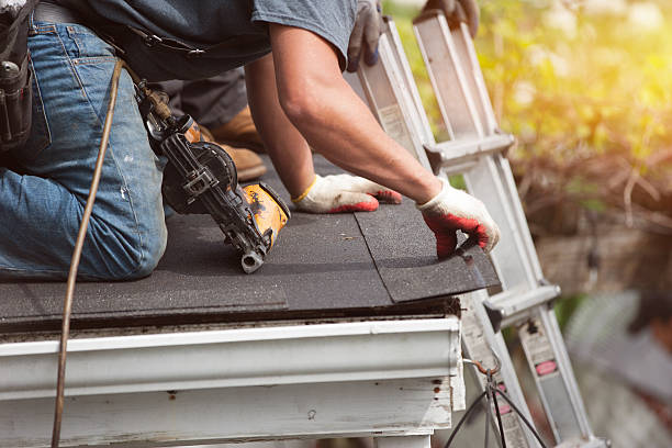 Best Roof Repair Services  in Tsaile, AZ